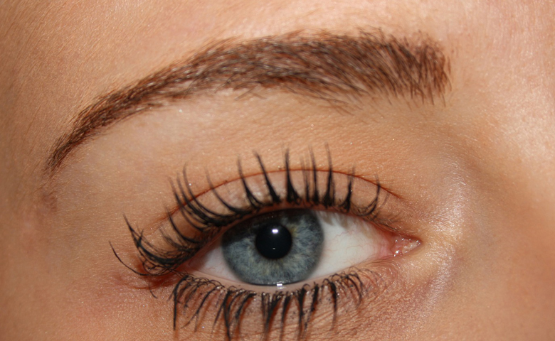 EyelashBrow